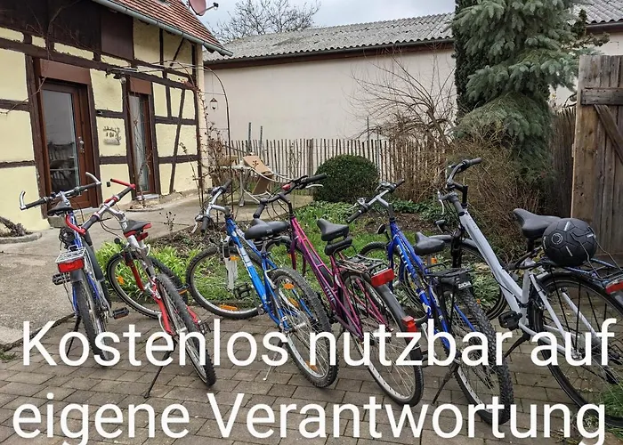 Spatzennest Und Rabennest